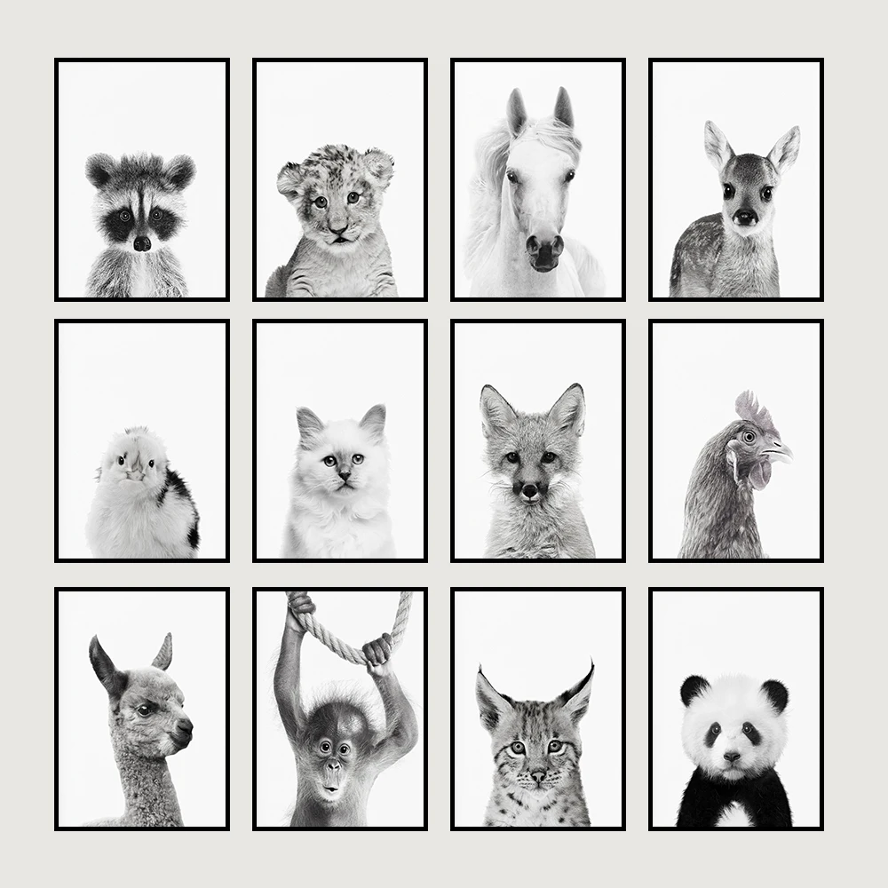 

Baby Panda Bear Black and White Llama Print Minimalist Animal Art Horse Pictures Nursery No Frame Wall Painting