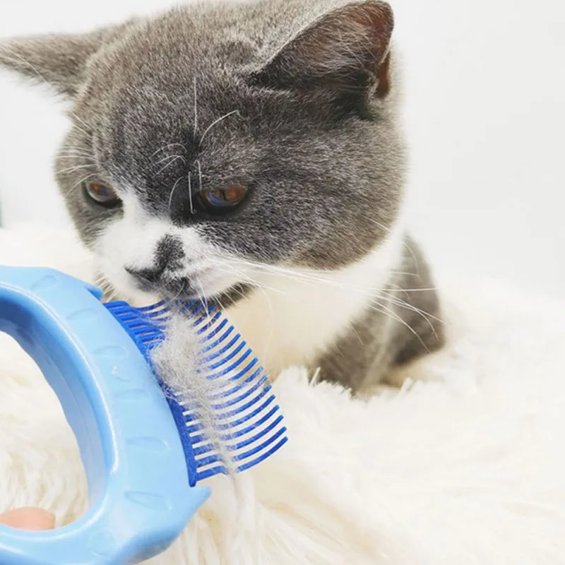 

Durable Pet Massage Brush Shell Shaped Handle Pet Grooming Massage Tool To Remove Loose Hairs For Cats Dogs