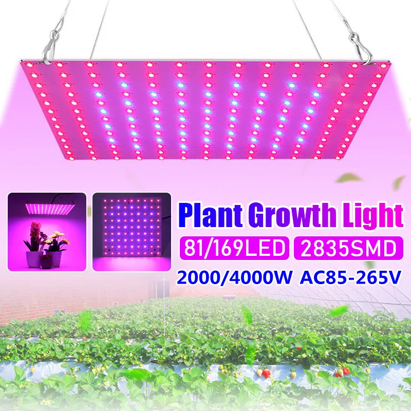 

2000W 4000W LED Grow Light Panel Red Blue Full Spectrum Phyto Lamp AC85-265V EU/US Plug For Indoor Grow Tent Plants Growth Light