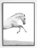 Нордическая современная простая картина маслом лошадь бег без рамки