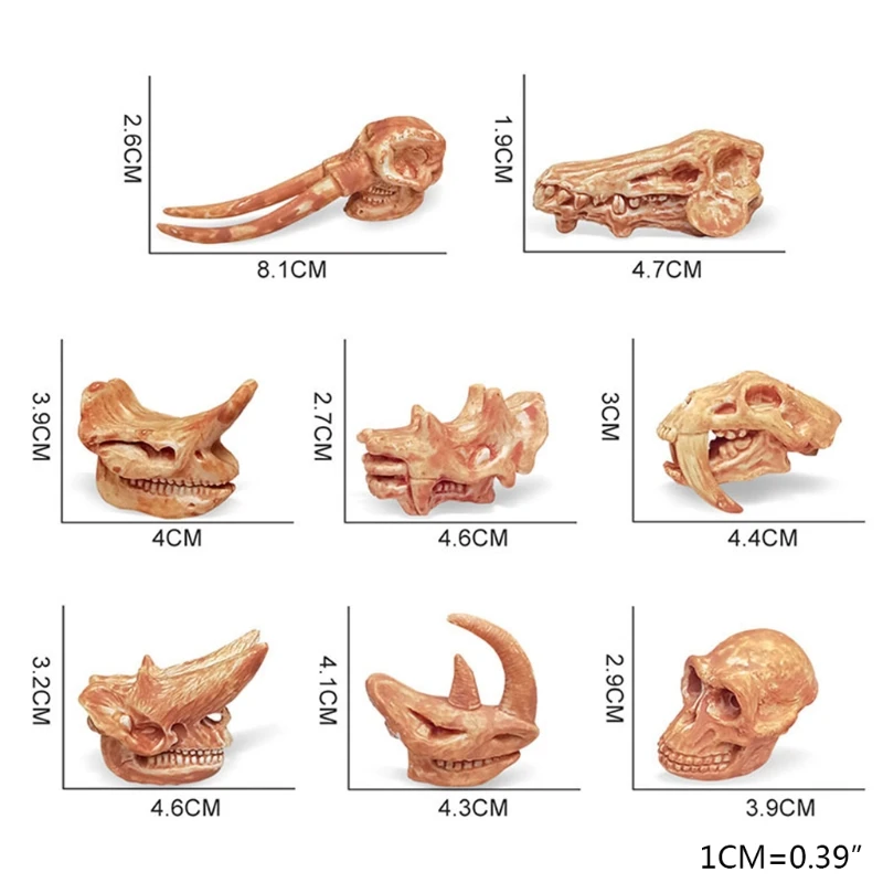 

N7ME Dinosaur Model Scientific Art Plastics Skull Toys Gifts for Boys and Girls