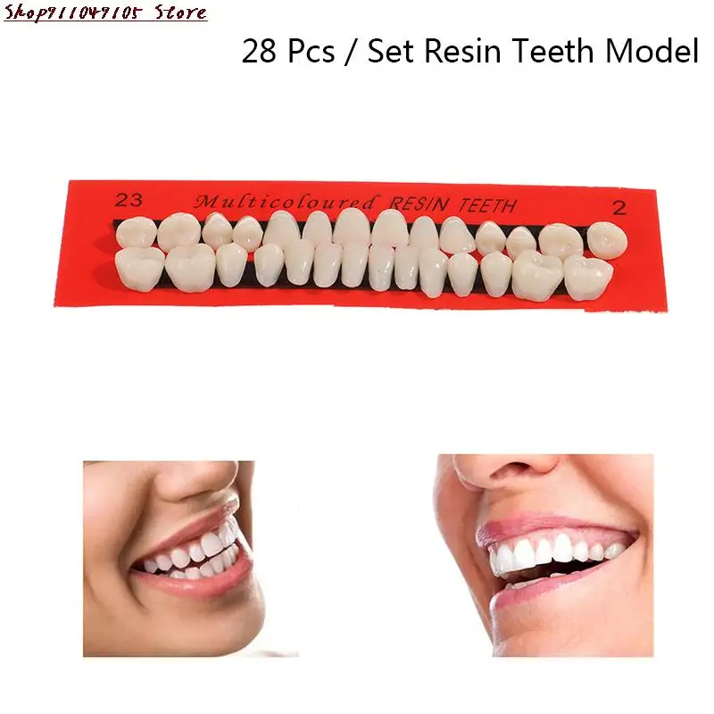 

28Pcs/Set Resin Teeth Model Durable Dentures Universal Resi False Teeth Dental Material Teeth Teaching Model Dedicated Teeth