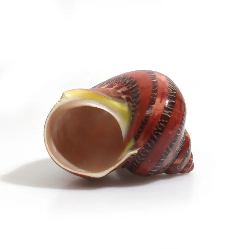 Спиральный корпус аквариум для рыб Crabs украшение аквариума натуральный раковины