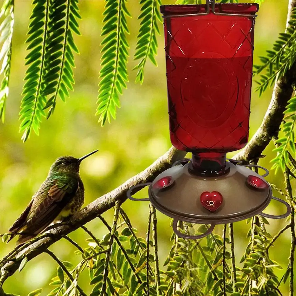 

Hummingbird Feeder Garden Glass Hummingbird Water Feeder for Outdoor 600mL