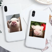 cute little pink pet pig phone case for iphone 13 12 11 pro max mini xs 8 7 6 6s plus x se 2020 xr candy white silicone cover