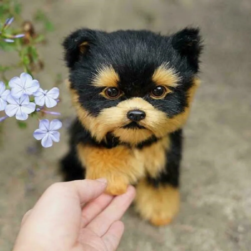 Реалистичная 3D имитация собаки плюшевая йоркширская кукла Мягкое Животное