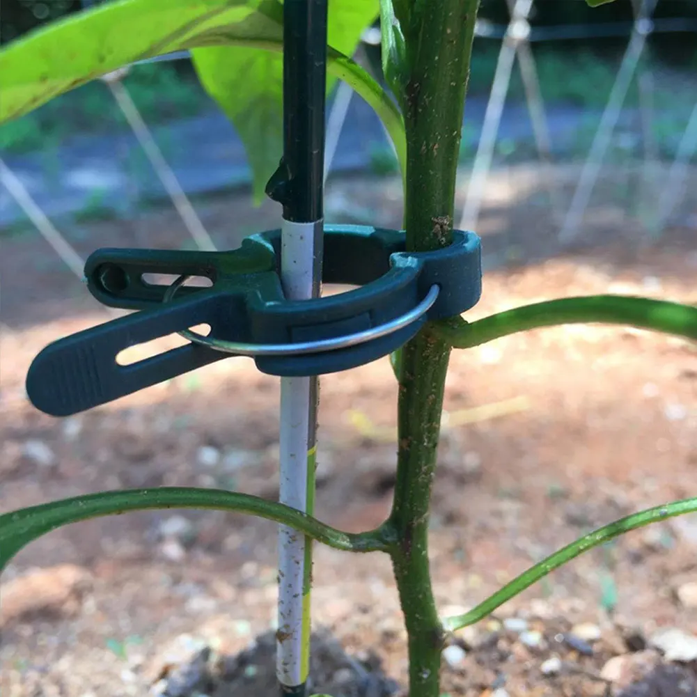 

20PCS Plant Gardening Clip Flower fixed Plant Garden Clip Set Gardening Clip Plant Grafting Clip Plant Flower Seedling Stem