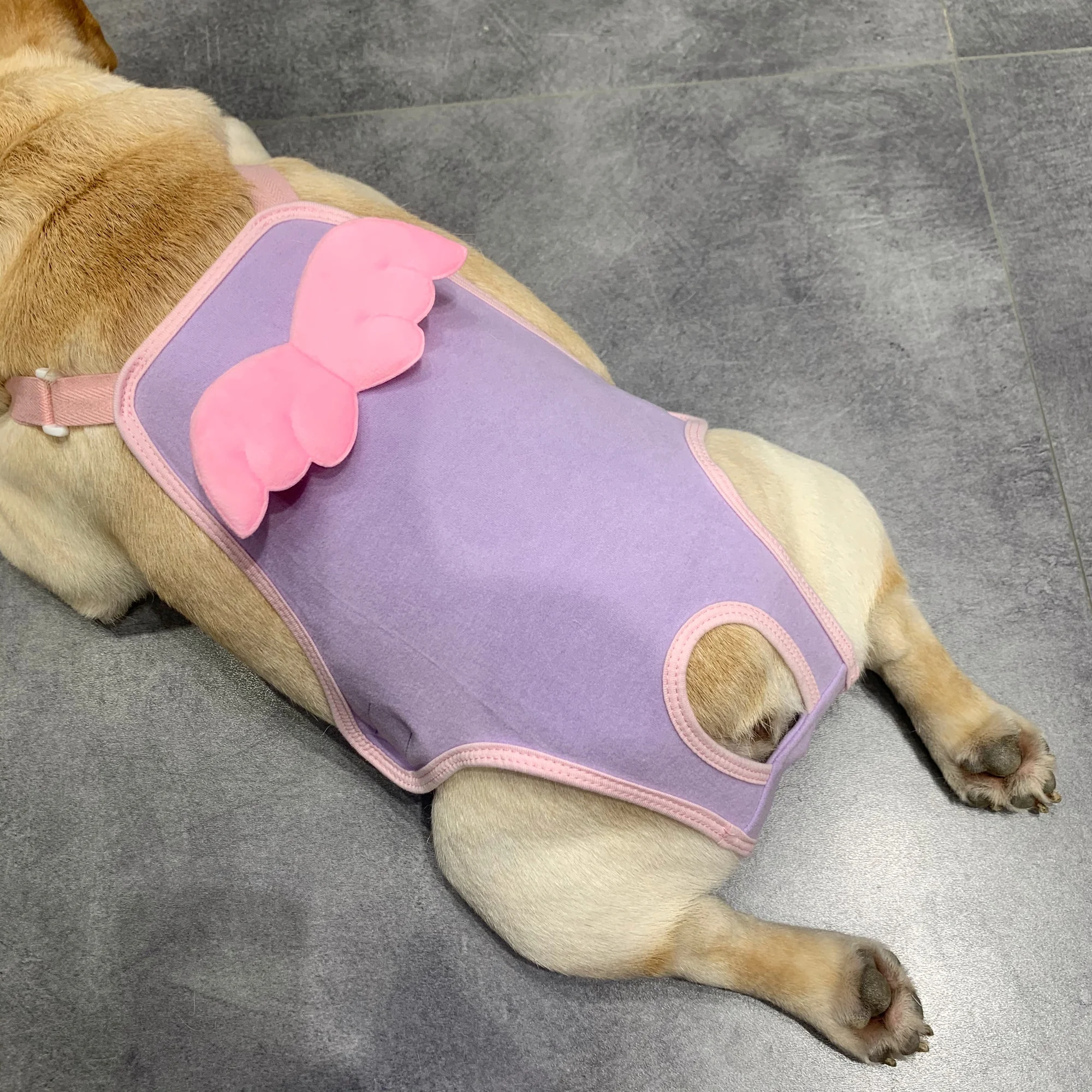 

Женские физиологические брюки для менструаций, дневные рандомные контрацептивные шорты для собак, дышащие гигиенические салфетки для соба...