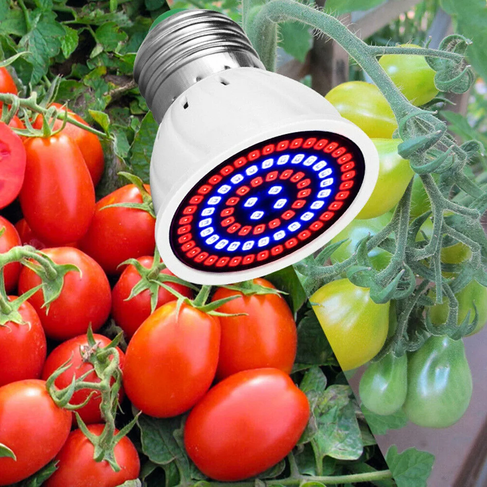 

Grow Light Bulb 60 LEDs E14 Plant Growth Full Spectrum Plant Horticultural Lamp 220V Indoor for Indoor Plants Succulents Garden