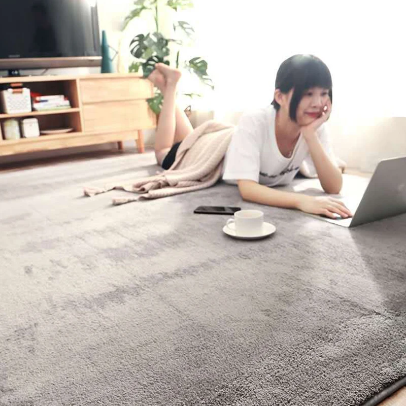 

Modern Simple Net Red Carpet Light Luxury Room Thickened Living Room Sofa Bedroom Lovely Spread Tatami Mat