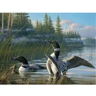 5D-Rhinestone-Painting-Crystal-Home-Decor-DIY-Diamond-Painting-Cross-Stitch loons