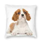 Наволочки для подушки для щенка кавалер Кинг чарльз спаниель украшение для дивана квадратная наволочка для домашних животных 40x40