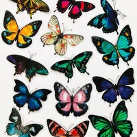 30 pcs pack big size butterfly dragonfly kids interest notebook hand account records diary decoration sticker