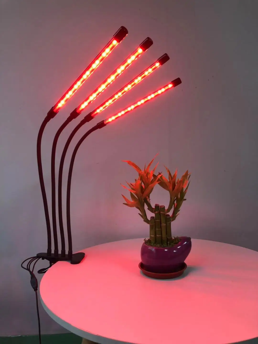 

Photography Lighting LED Grow Light USB 5V 3 Color Desktop Clip Photo Lamp with Control for Photo Studio Indoor Light