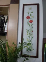 

T429 flower [poppy and Daisy] beautiful simple precision printed cross stitch set