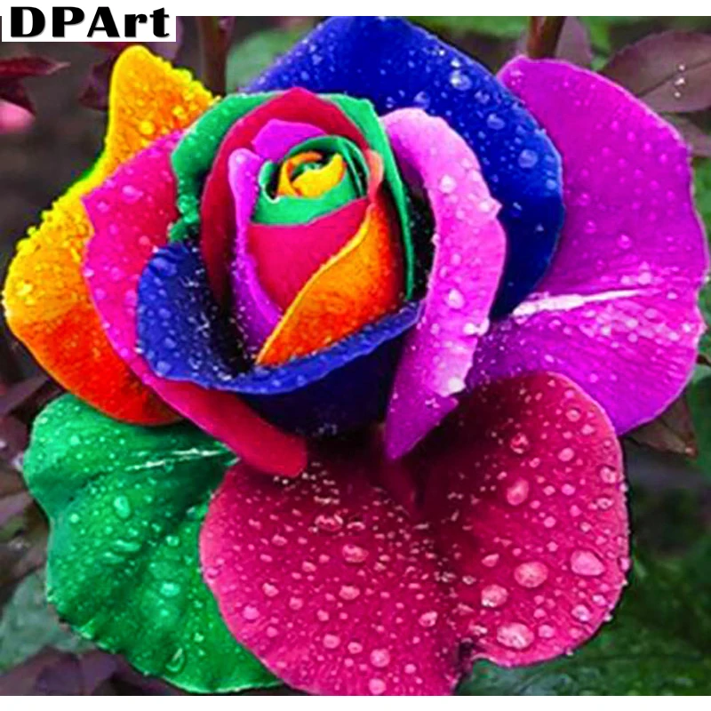 Алмазная картина полностью квадратная/круглая дрель цветы красота 5D Daimond вышивка