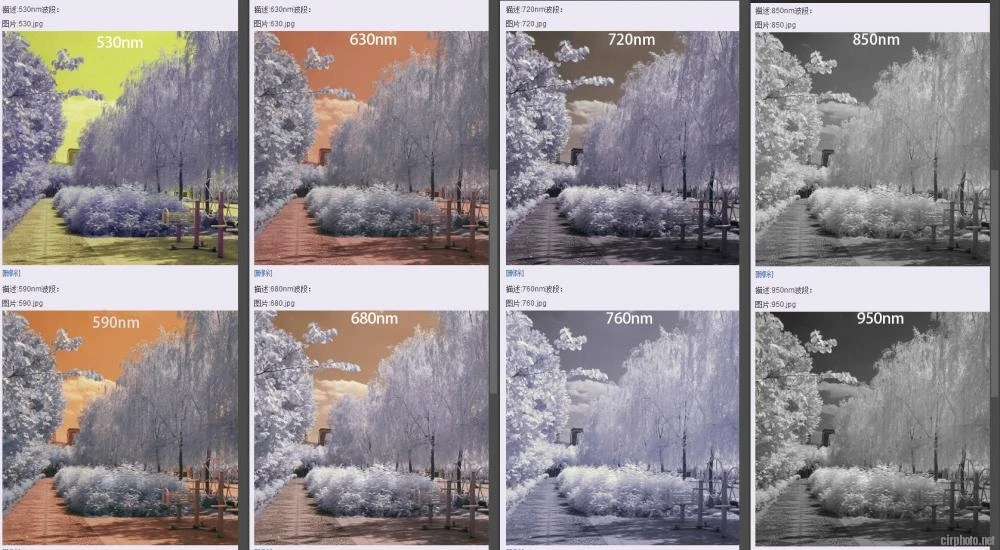 For Canon 600D 650D 700D 750D 800D CCD CMOS Image Sensor Infrared IR Filter Refit 590NM 630NM 680NM 720NM Transparent | Электроника