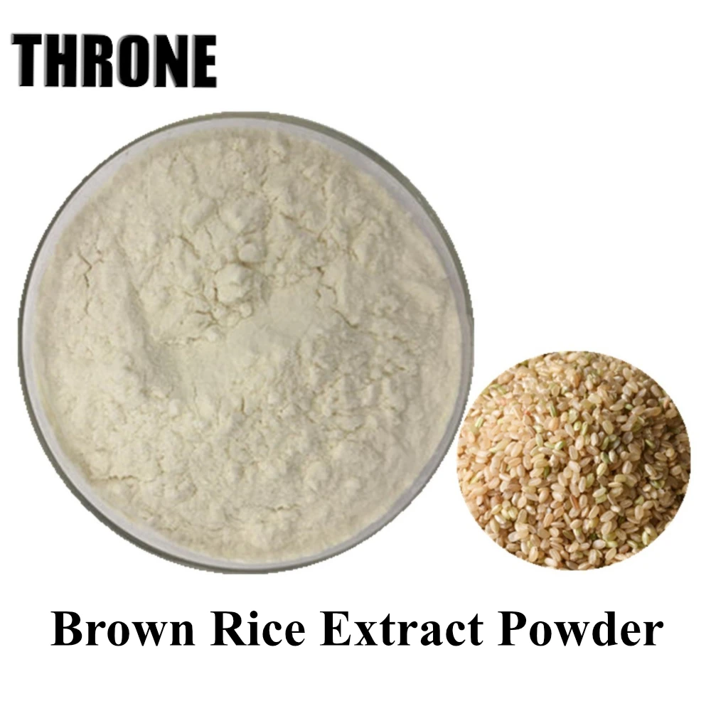 Brown Rice Extract Powder 10:1