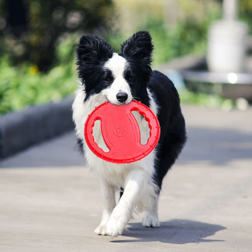 

Pet Training Toy Chewing Flying Saucer Dog Interactive Toy Puppy Anti-Small Silicone Rubber Dog Puzzle Toys Pet Accessories