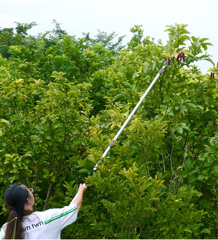 

3 Meter Upgraded High-altitude Fruit Scissors Garden Telescopic Hedge Trimmer Fruit Tree Pruning Shears High Branch Pruning Tool