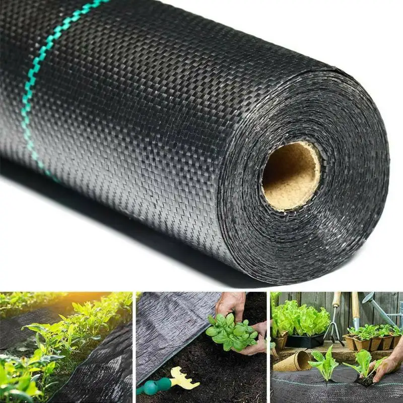구매 농업 잡초 장벽 풍경 패브릭 그라운드 커버 가든 매트 플라스틱 식물 성장 케어 천 블랙 PP 1-2m 너비 식물 커버