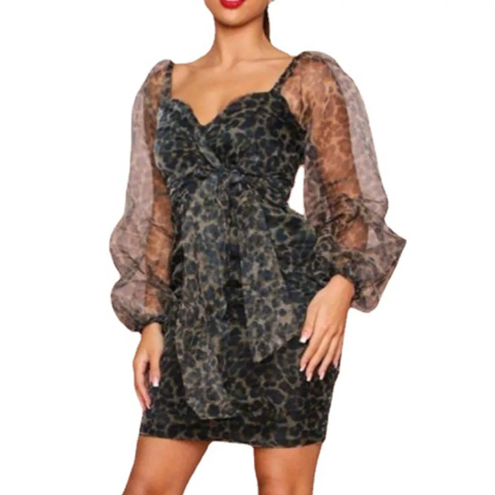 

Western Style Women's Dress 2021 Spring Summer Fashion Oversize African Sexy Casual Printing Net Yarn Perspective Long Sleeve