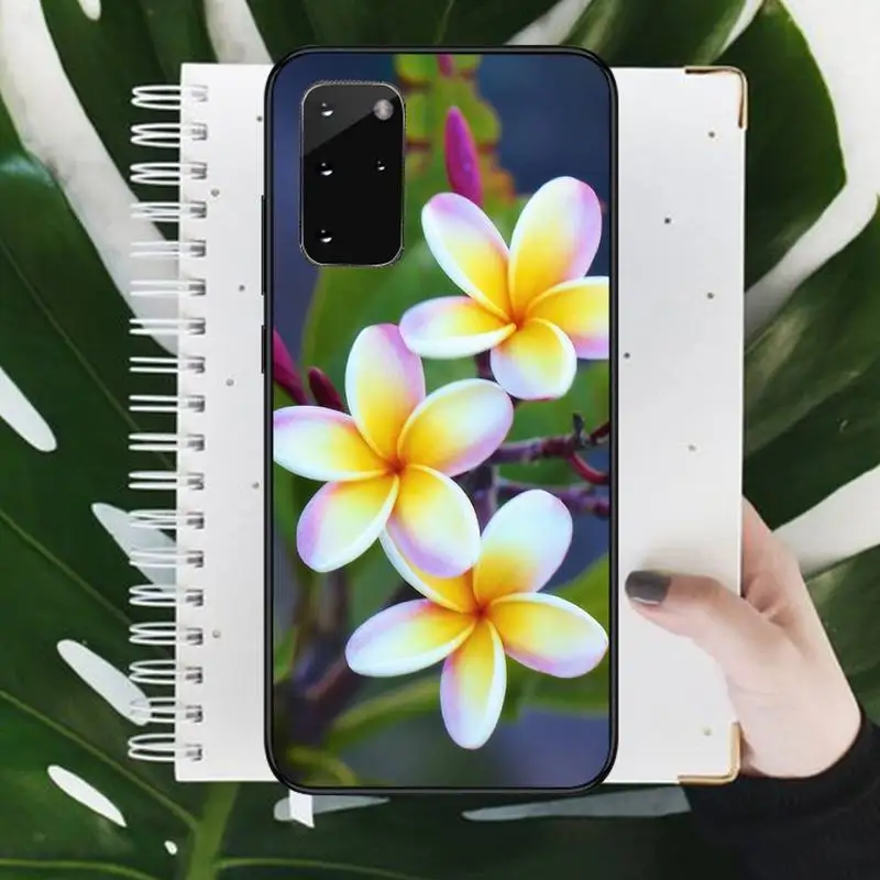 

Frangipani Phone Case For Samsung Galaxy S8 S9 S10 Plus S10E Note 3 4 5 6 7 8 9 10 Pro Lite cover