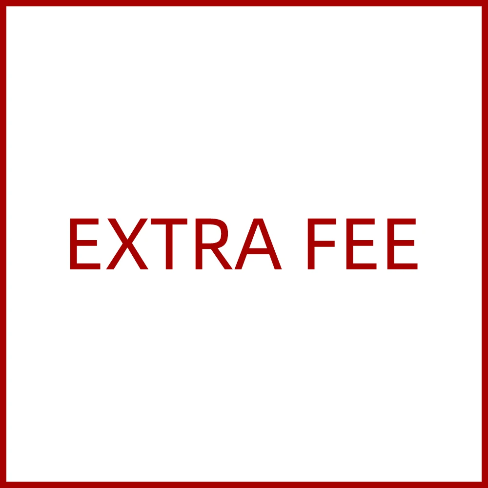 

Дополнительная плата, возможна разница по специальной ссылке