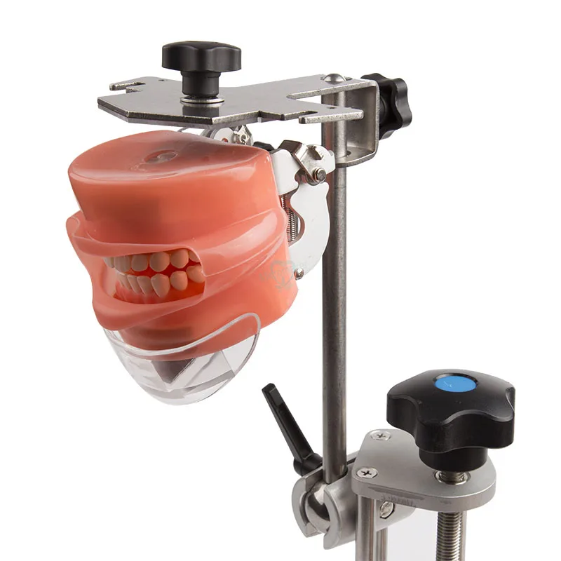 1 набор стоматологических симуляторов модель детской модели с настольным