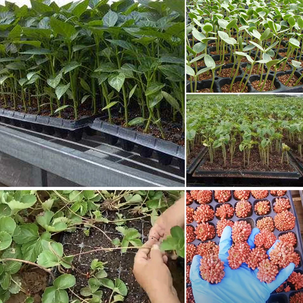 

10pcs 32 Cells Plant Growing Trays Plastic Nursery Tray Bonsai Flower Pot Green Succulent Plants Pot for Garden Balcony Plants