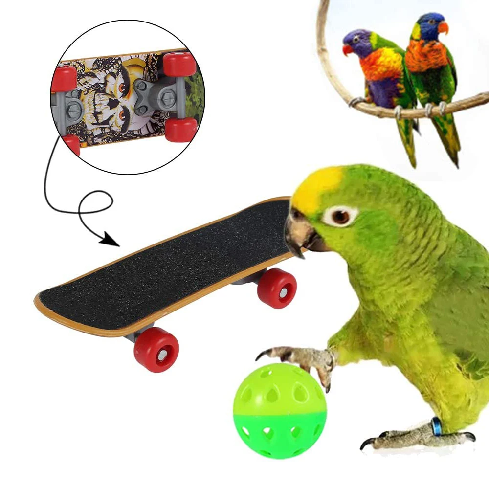 

7Pcs/Set Parrot Toys Bird Interactive Training Toy Funny Bird Activity Toy Set Parrot Playing Puzzle Toy Set Bird Accessories