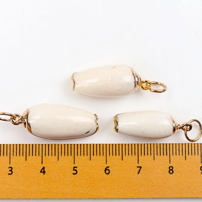 5 шт. спиральные ракушки для украшения дома|Ракушки и морские звезды| |