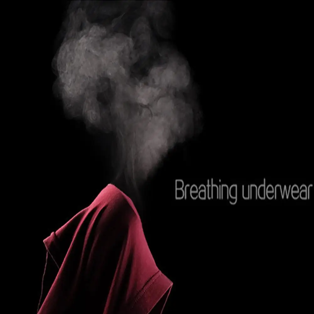 DSstyles 4 шт./компл. Для Мужчин's со средней посадкой дышащие и удобные боксеры