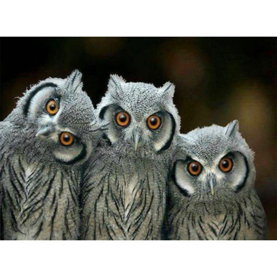 

5D DIY Diamond Painting Animal Series Owl Rhinestone Picture Full Diamond Embroidery Gift Mosaic Cross Stitch Home Decoration