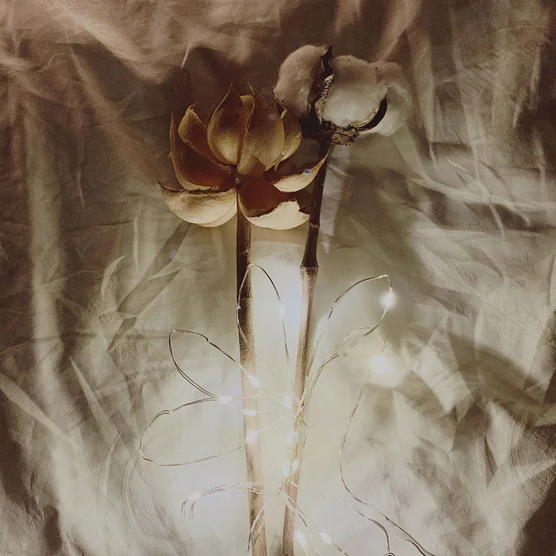 5 м 50 лампы светодиод USB пульт дистанционного управления медный провод низкого