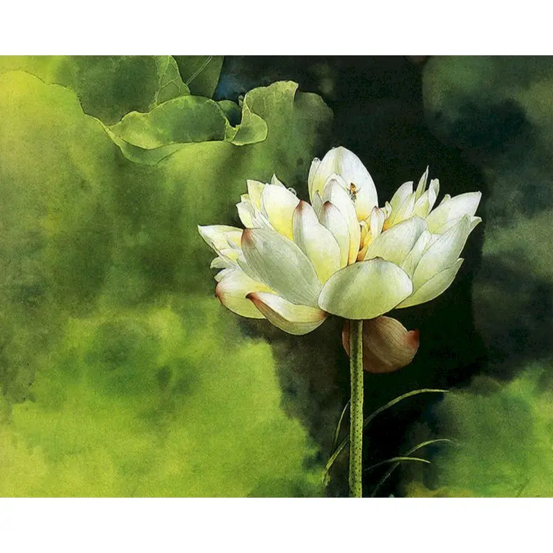 

GATYZTORY FrameLotus Flowers DIY Painting By Numbers Acrylic Paint By Number Kits Oil Paint By Numbers For Home Decors Gift
