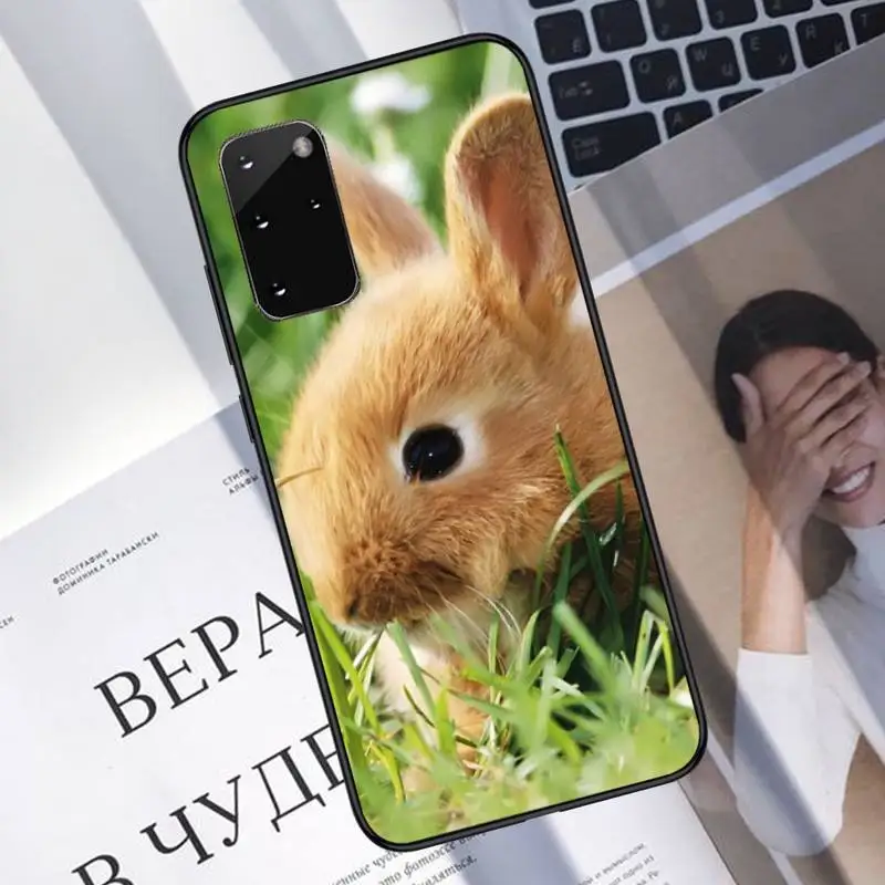 

rabbit Phone Case For Samsung Galaxy S8 S9 S10 Plus S10E Note 3 4 5 6 7 8 9 10 Pro Lite cover