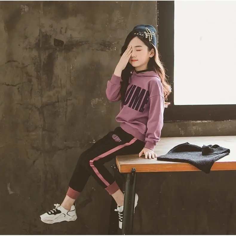 Комплекты одежды для девочек осенне-зимний детский костюм из толстовки с