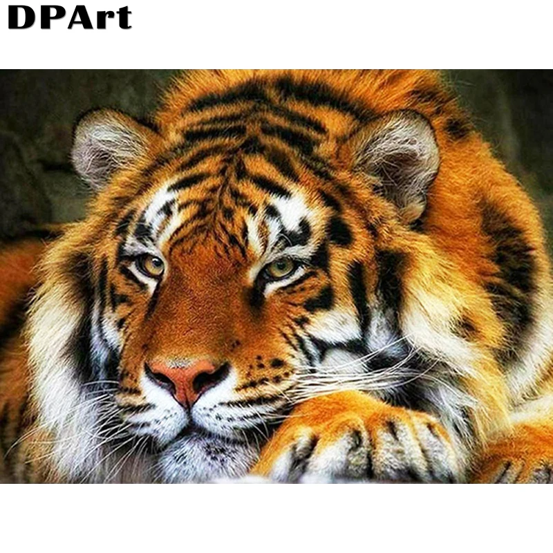 Алмазная живопись X006 полноразмерная/круглая 5D вышивка картина из страз