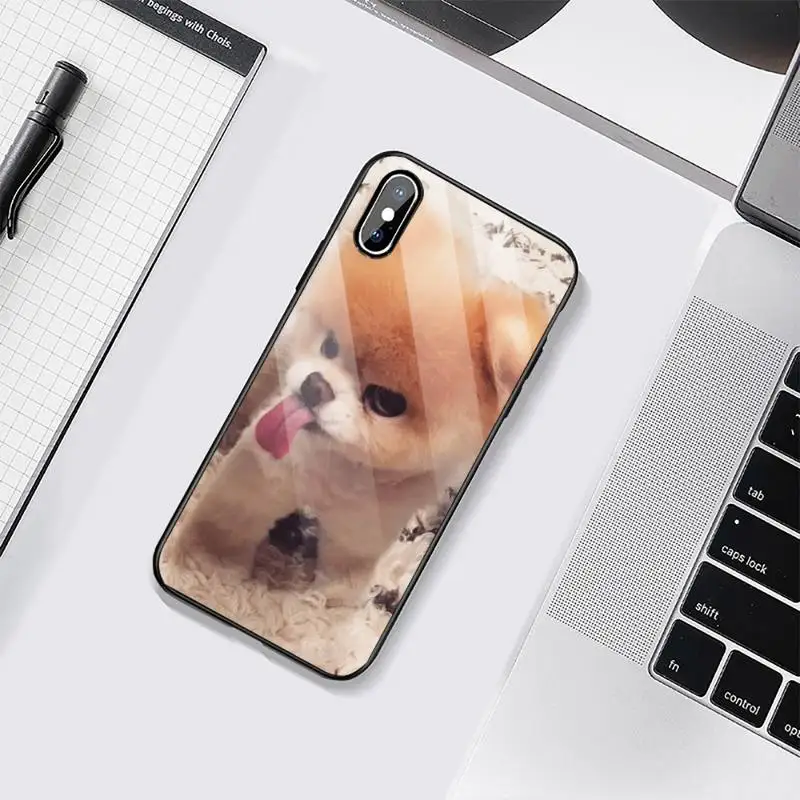 

Pomeranian dogs dog cute Phone Case Tempered glass For iphone 6 6S 7 8 plus X XS XR 11 12 mini PRO MAX