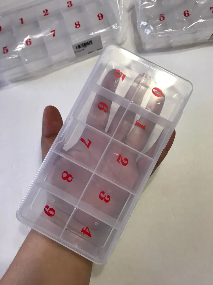 

1 x 10 Compartment Storage Box (0~9) Hot False Nail Tips Storage Box Nail Display Clear Compartments New Plastic nail Case Boxes