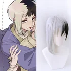 Аниме Dr.Stone Косплей асагири Gen черный белый костюм парик Термостойкое волокно синтетические волосы + парик Кепка