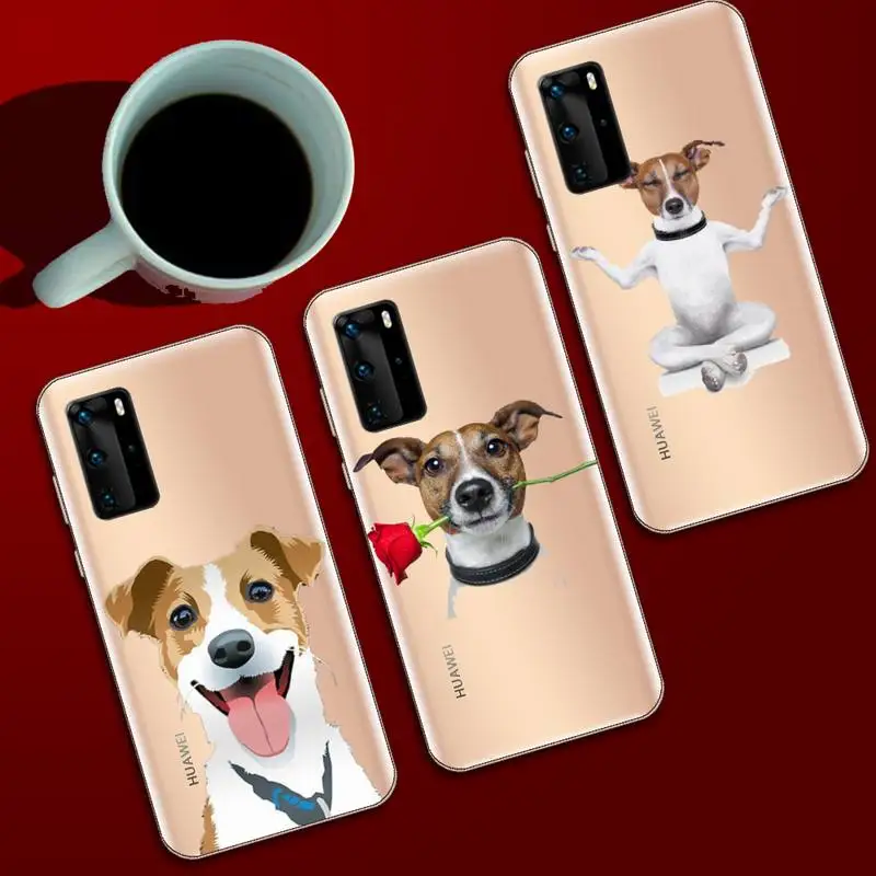 

animal Jack Russell Terrier Dog Phone Case Transparent for huawei honor P 40 30 20 lite Pro 10 i 8 9 x p smart 2019