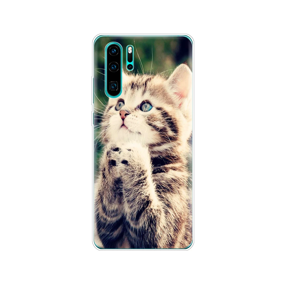 34742 Для huawei P30 Pro lite чехол Силиконовый ТПУ для телефона чехол на huawei P30 VOG-L29 ELE-L29 P 30 Lite чехол бампер противоударный - Цвет: 34742