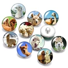 Животные Альпака желтовато-коричневый утка енот 18 мм кнопки 10 шт. круглые фото кабошоны разрисованные изделия из стекла стиль для кнопки ювелирные изделия