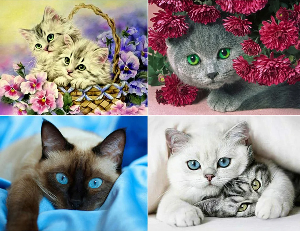 

Diamond Painting Kits Full Round With AB Drill Display Animal Cat Diamond Mosaic Flower Bead Picture Rhinestones Children's Gift