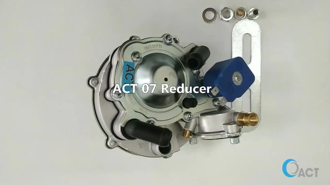 

Автоматический электромагнитный Регулятор газа ACT07 1000cc для мотоцикла
