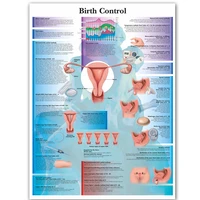 wangart birth control art poster print body map canvas wall pictures for medical education home decor