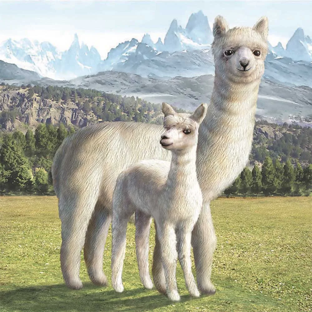 5D DIY алмазная живопись Альпака полный квадрат/Круглая Мозаика Алмазная вышивка