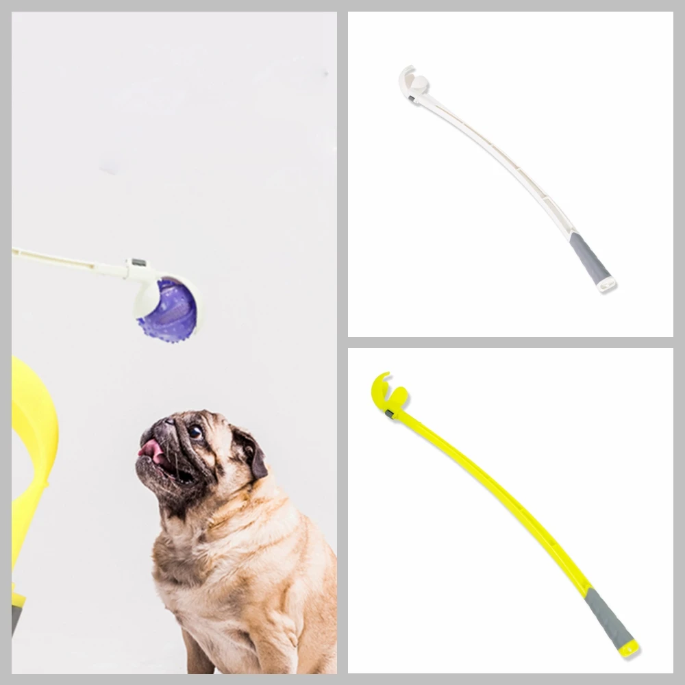 

Pet training supplies for dog toys